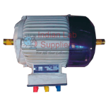 Working cut section of 1 HP / TEFC / 3 Phase Sq. Cage Induction Motor